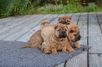 Parfois je trouve le bonheur 